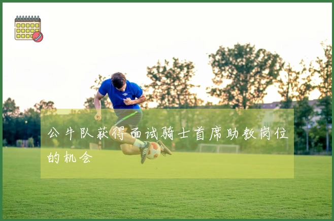 公牛队获得面试骑士首席助教岗位的机会